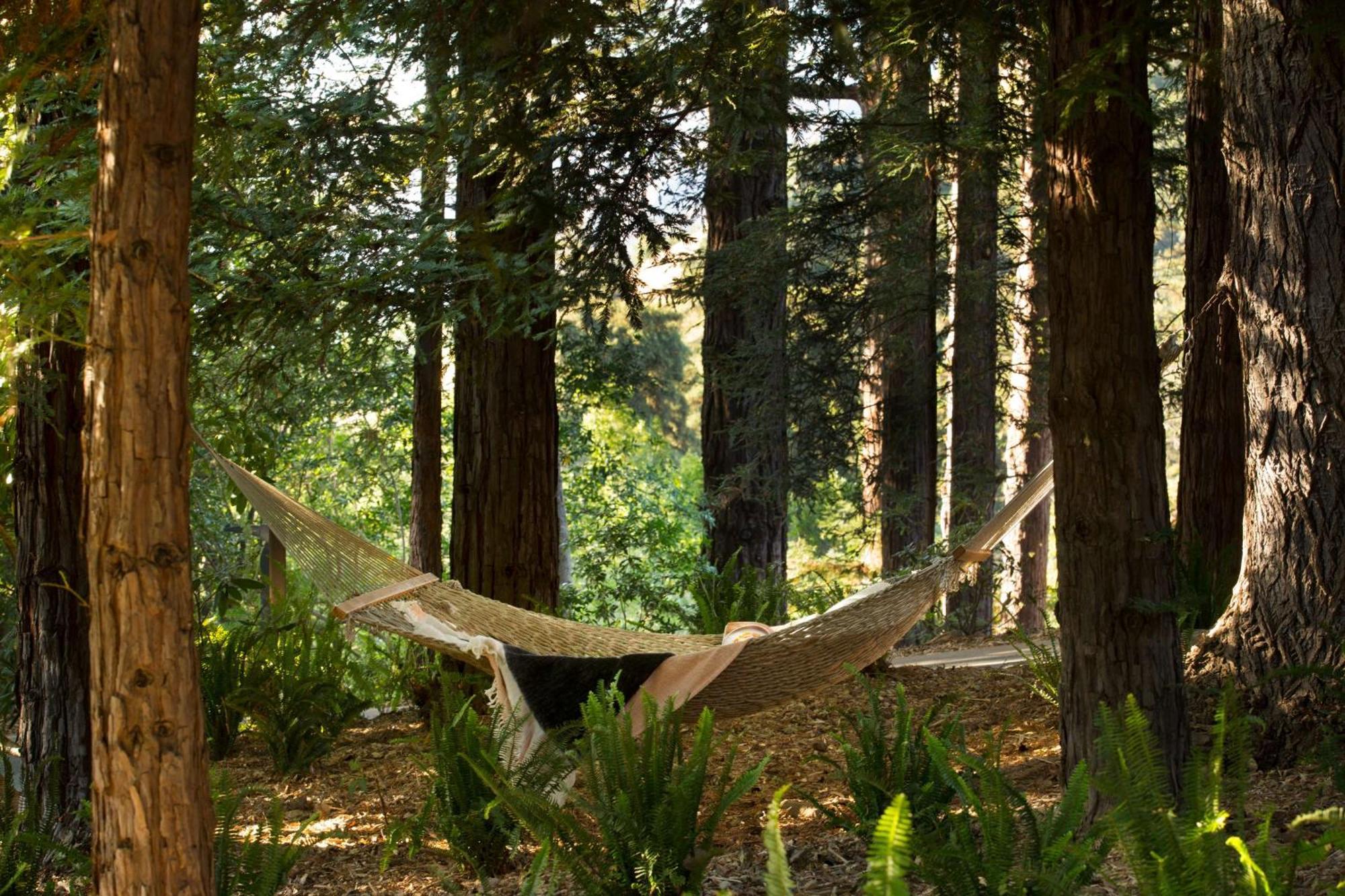 Alila Ventana Big Sur - Inclusive Resort (Adults Only) Buitenkant foto